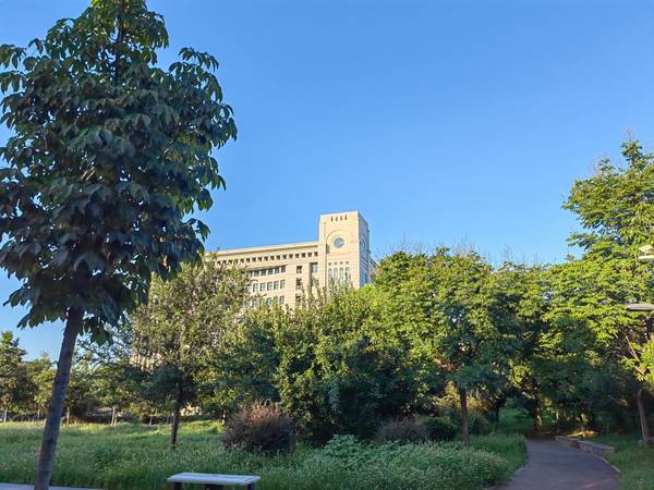 IMG_20240729_182316